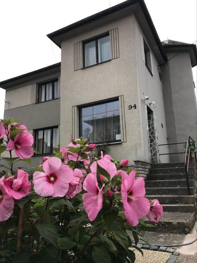 Apartman Hrubá Skála Dış mekan fotoğraf